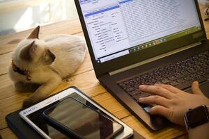 Dames gebruik makend van laptop werken Bij huis foto