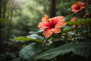 ai gegenereerd hibiscus Woud behang foto