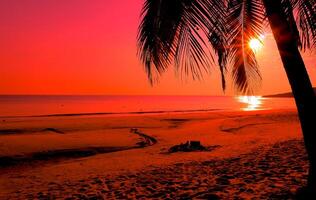 silhouet van mooi zonsondergang Aan de zee strand met palm boom voor reizen in vakantie kom tot rust tijd net zo zomer foto