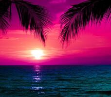 silhouetten van palm bomen en verbazingwekkend bewolkt lucht Aan zonsondergang Bij tropisch strand met roze lucht achtergrond voor reizen en vakantie foto