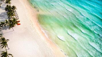 tropisch strand paradijs van bovenstaand foto
