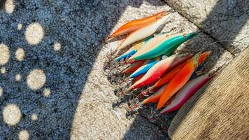 kleurrijk visvangst lokt gieten zonovergoten schaduwen foto