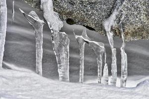 ijspegel close-up, winter foto