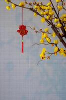 een hangende hanger woord gemeen zegen Bij geel Chinese bloesem boom Aan muur achtergrond voor Chinese nieuw jaar concept. foto