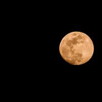 volle maan in de donkere lucht tijdens de nacht, geweldige supermaan in de lucht foto