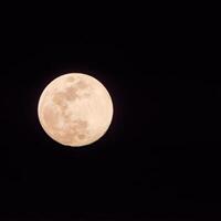 volle maan in de donkere lucht tijdens de nacht, geweldige supermaan in de lucht foto