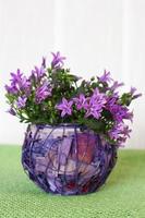 kleine violette bloemen foto