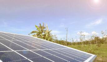 zonne- panelen, cellen dat te ontvangen zonlicht naar worden hergebruikt net zo elektriciteit voor gebruik in landbouw. foto