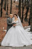 portret. de bruid en bruidegom zijn staan, Holding een boeket, poseren in de Woud. een wandelen in de Woud. winter bruiloft foto