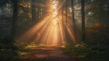 ai gegenereerd nevelig ochtend- in een herfst Woud met zonnestralen breken door de hoog bomen, verhelderend de gouden gebladerte en Woud pad. foto