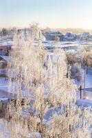 landschap schot van de winter dorp. natuur foto