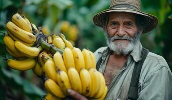 ai gegenereerd een oud Mens in een biologisch serre. een Mens is Holding een bundel van bananen in zijn hand, klaar naar genieten deze voedzaam en heerlijk fruit tussendoortje. foto