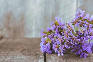 limonium sinuatum statice bloemen foto