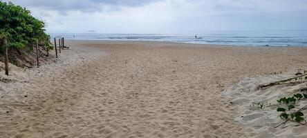 beeld van strand met wit zand en kalmte zee Aan zonnig dag met zwemmers en surfers Aan de strand foto