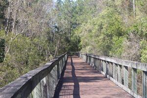 landschap in de omgeving van de marcus bayou vogelen spoor in pensacola Florida. foto