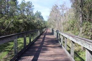 landschap in de omgeving van de marcus bayou vogelen spoor in pensacola Florida. foto