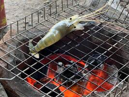 gegrild garnaal Aan de grillen. foto