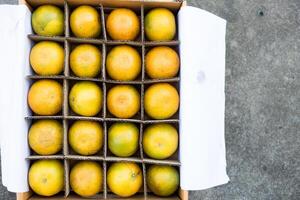 vers biologisch sinaasappels van boerderij geleverd mooi zo geregeld in papier doos. foto