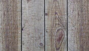 hout textuur. achtergrond oud paneel detailopname foto