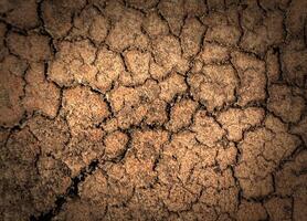 droog gebarsten aarde bodem grond structuur achtergrond foto