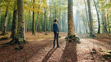 jongen vervelend uitgebreid realiteit koptelefoon in herfst Woud in bergen foto