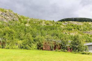 prachtig noors landschap met bomen sparren bergen rotsen. Noorwegen natuur. foto