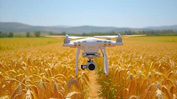 ai gegenereerd quadcopter dar vliegend over- gouden tarwe veld- Aan zonnig dag foto