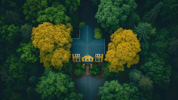 ai gegenereerd antenne visie van een afgelegen huis omringd door dicht bomen in weelderig Woud foto