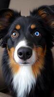 ai gegenereerd dichtbij omhoog van hond met blauw ogen foto