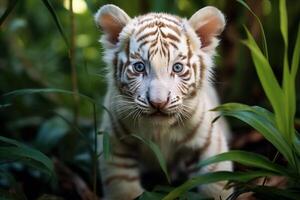 ai gegenereerd schattig weinig albino tijger welp met wit vacht buitenshuis foto