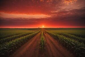 ai gegenereerd korenveld in een indrukwekkend rood zonsondergang foto