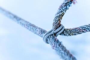 een bevroren touw in winter foto