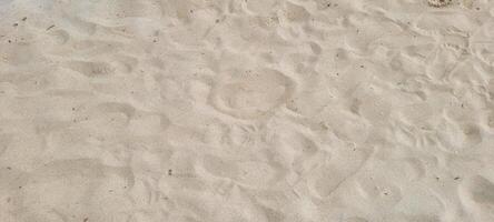 beeld van wit zand strand Aan de kust van Brazilië Aan een zonnig foto