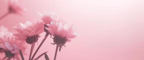 ai gegenereerd een roze bloem kader Aan roze achtergrond foto