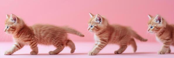 ai gegenereerd een gember oranje kat is wandelen Aan een licht roze achtergrond foto