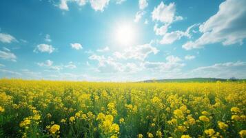 ai gegenereerd mooi natuurlijk achtergrond met geel bloem veld- en blauw lucht groot copyspace Oppervlakte met kopiëren ruimte voor tekst foto