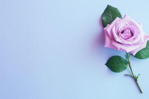 ai gegenereerd roze roos Aan lavendel achtergrond top visie foto