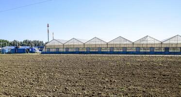 polycarbonaat kassen. kas complex. kassen voor groeit groenten onder de Gesloten grond foto