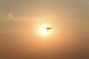 dar silhouet tegen de achtergrond van de zonsondergang foto