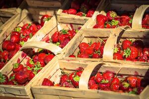 veel vers rood aardbeien in een houten mand foto