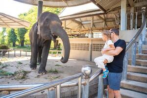 een Mens met weinig dochter voeden olifant , reizen concept. Thailand, Azië. hoog kwaliteit foto