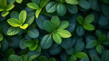 ai gegenereerd levendig groen fabriek bladeren foto