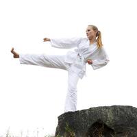 taekwondo krijgshaftig kunsten foto