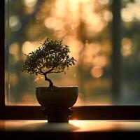 ai gegenereerd bonsai boom in een minimalistische kamerplant pot foto