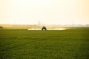 trekker met de helpen van een sproeier sprays vloeistof meststoffen Aan jong tarwe in de veld. foto