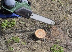 gezaagd elektrisch zagen boom foto