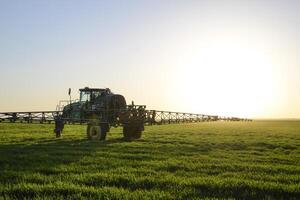 trekker Aan de zonsondergang achtergrond. trekker met hoog wielen is maken kunstmest Aan jong tarwe. de gebruik van fijntjes verspreid verstuiven Chemicaliën foto