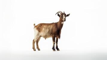 ai gegenereerd dier rechten concept een bruin en wit geit staand tegen een wit achtergrond foto
