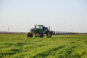 trekker Aan de zonsondergang achtergrond. trekker met hoog wielen is maken kunstmest Aan jong tarwe. de gebruik van fijntjes verspreid verstuiven Chemicaliën foto