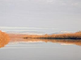 rivier- landschap vroeg de lente. kaal bomen, smelten sneeuw. foto